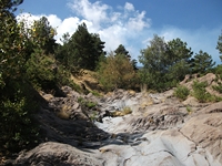 rrente Quarantore-20110911 112